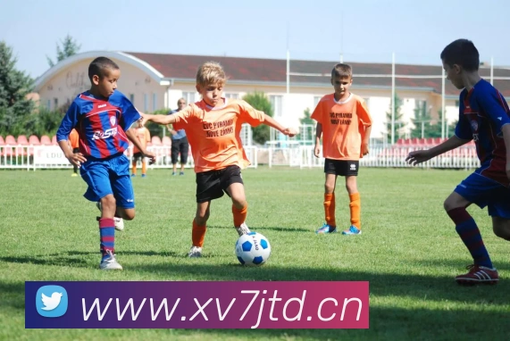 完美体育首页官网平台生态图